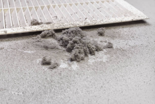 Best HVAC Duct Inspection Services  in Dresden, OH