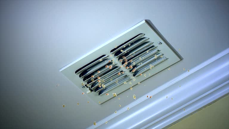 Best Air Vent Cleaning Services  in Dresden, OH
